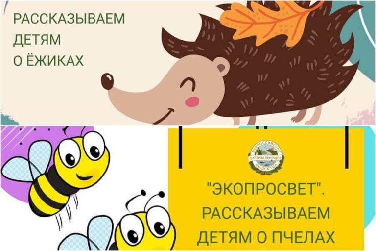 ВООП запустило медийный проект «ЭКОПРОСВЕТ»