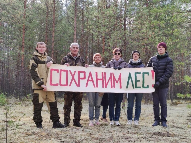 Жители Коми выступают против вырубки Пычимского бора