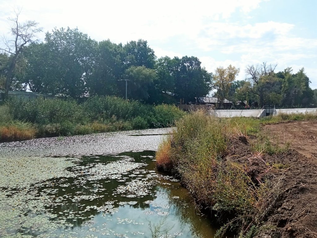 В Волгоградской области реку Ахтубу не успевают расчистить в срок
