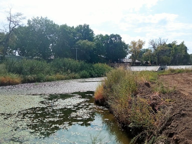 В Волгоградской области реку Ахтубу не успевают расчистить в срок