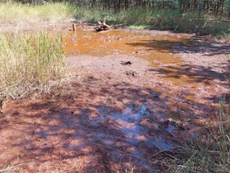 В Воронежской области проверят загрязнение земли на месте медно-никелевого месторождения