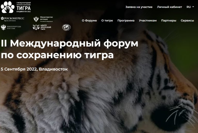 Россия поможет Казахстану восстановить популяцию тигра