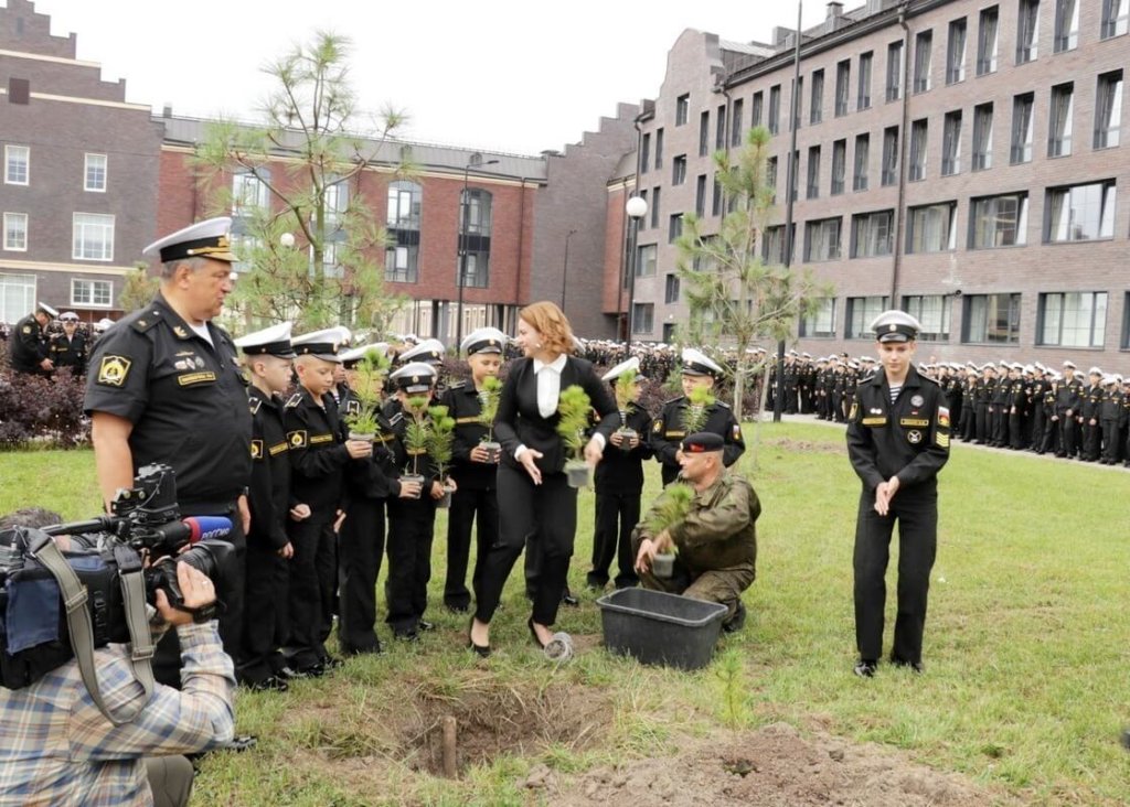 Калининградские нахимовцы высадили кедровую рощу