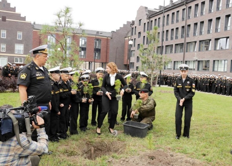 Калининградские нахимовцы высадили кедровую рощу