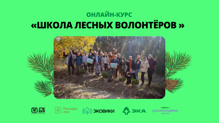 Платформа Ecowiki.ru запустила онлайн-курс по лесному волонтерству