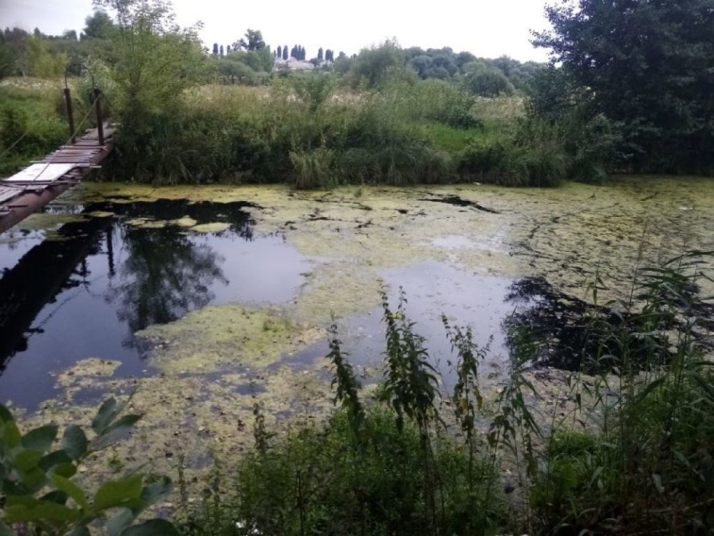 Воронежское водохранилище из-за стоков покрылось сине-зеленой коркой
