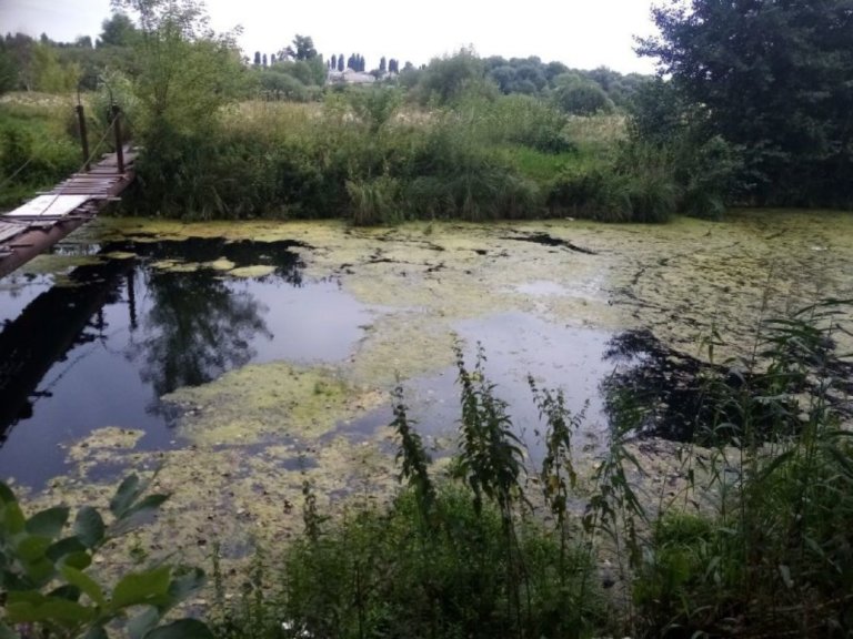 Воронежское водохранилище из-за стоков покрылось сине-зеленой коркой