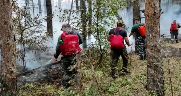 В Ростовской области горит лес площадью более 200 гектаров