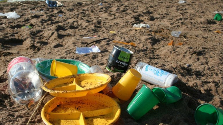 В курортных регионах России могут ограничить оборот одноразовых изделий из пластика