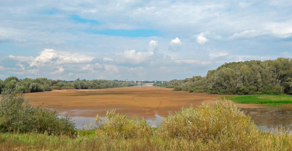 Мячино великий новгород карта