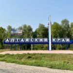 Бранхиомикоз назвали причиной гибели рыбы в протоках Оби на Алтае