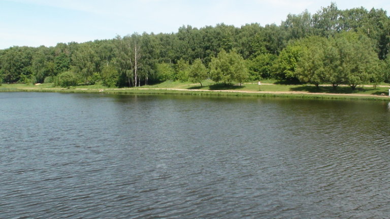 В Москве расчистят Алтуфьевский пруд