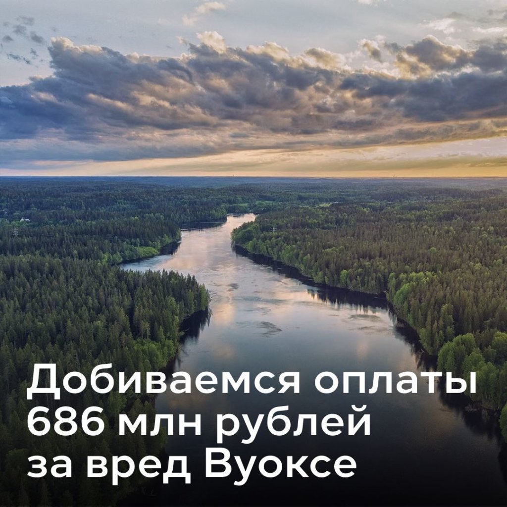 Росприроднадзор подал в суд на производителя бумаги за отравление реки