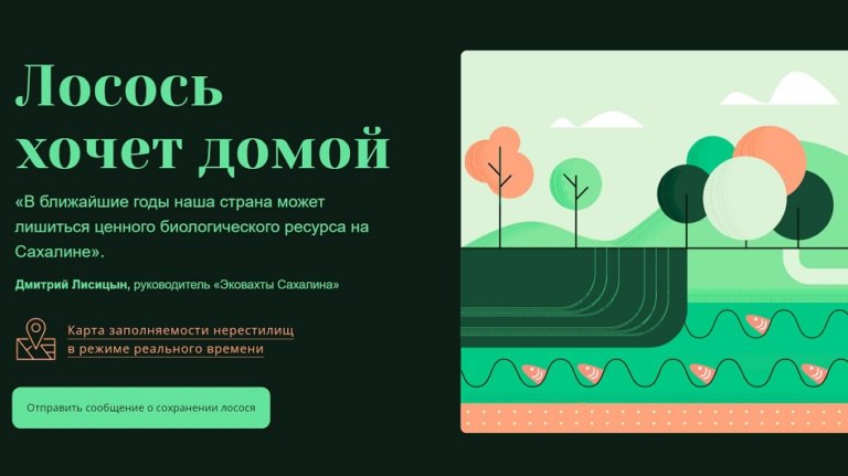 Россияне наблюдают онлайн, как исчезает сахалинский лосось