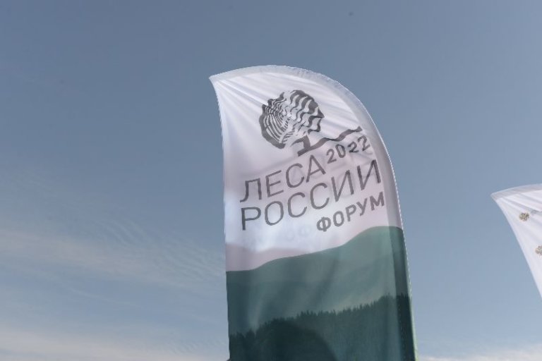 В Красноярске открылся форум «Леса России»