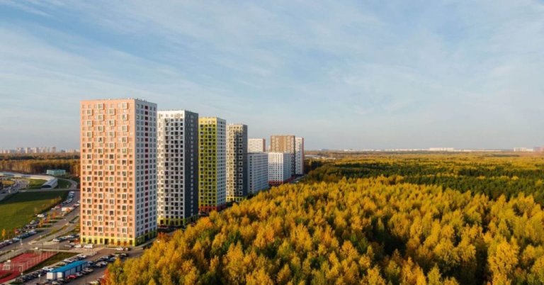 Москвичи пытаются спасти от вырубки очередной лес