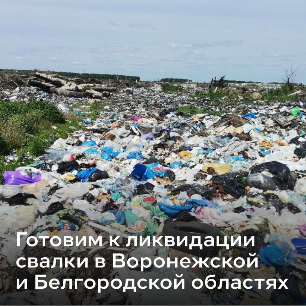 С начала года в российских регионах появилось 1,4 тысячи новых свалок