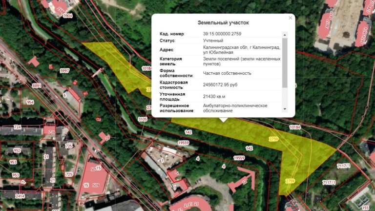 Ради больницы в Калининграде планируют вырубить 2 гектара лесопарка