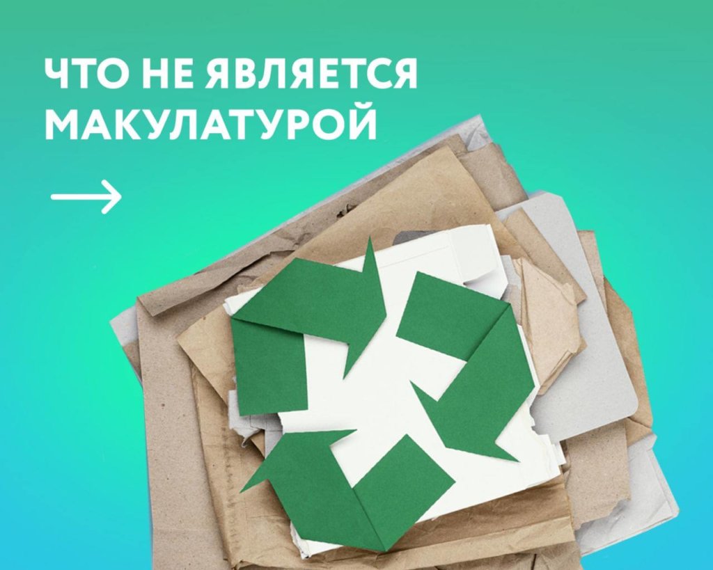 Латок для яиц и старые обои: что не нужно сдавать в макулатуру