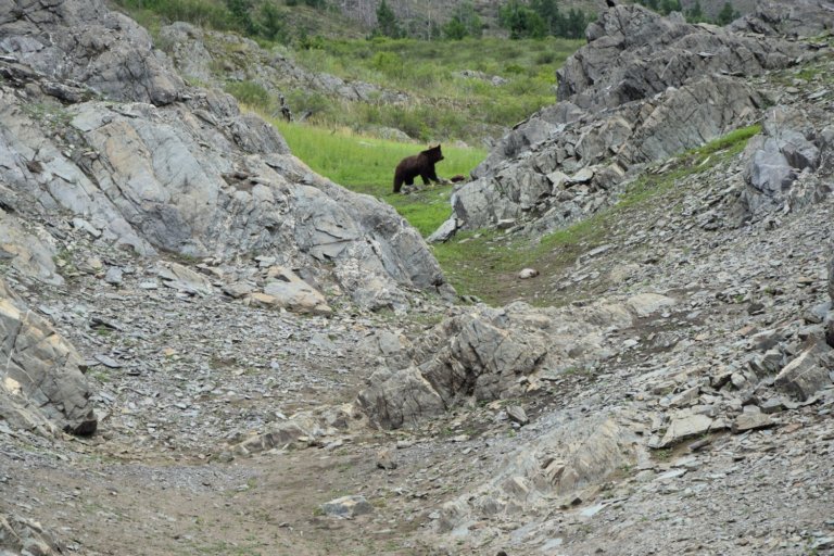 В заповедниках и нацпарках подводят итоги полевого сезона