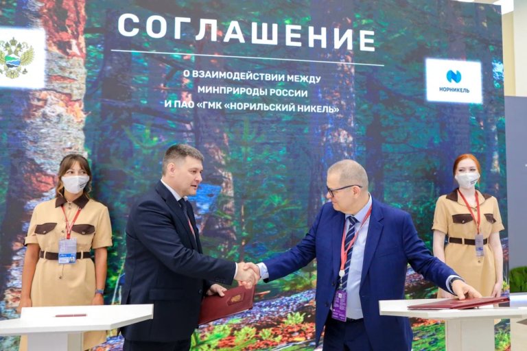 Минприроды и «Норникель» подписали соглашение по сохранению редкого кречета