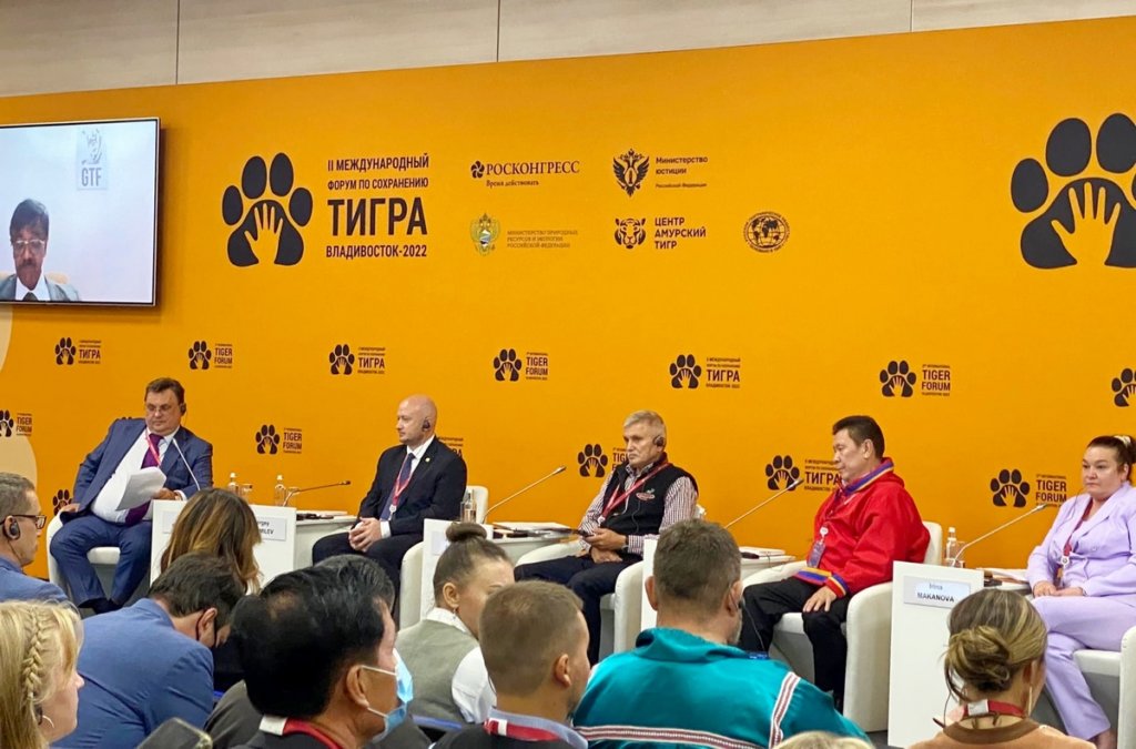 Константин Чуйченко: «Тигриные фермы необходимо запретить»