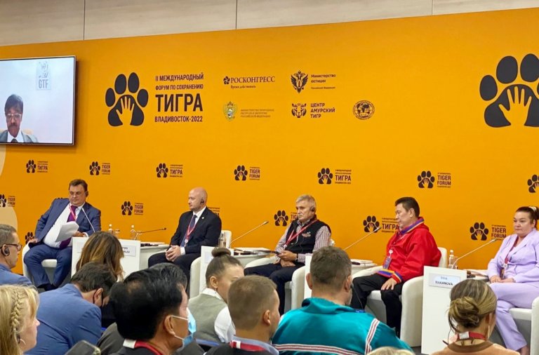 Константин Чуйченко: «Тигриные фермы необходимо запретить»