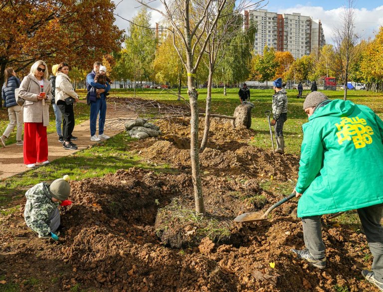 На несколько тысяч деревьев стало больше в Москве этой осенью