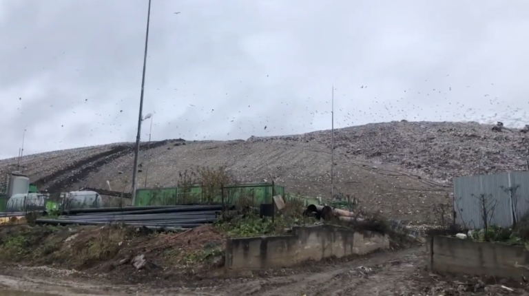 В Ленобласти сошёл откос на полигоне ТБО