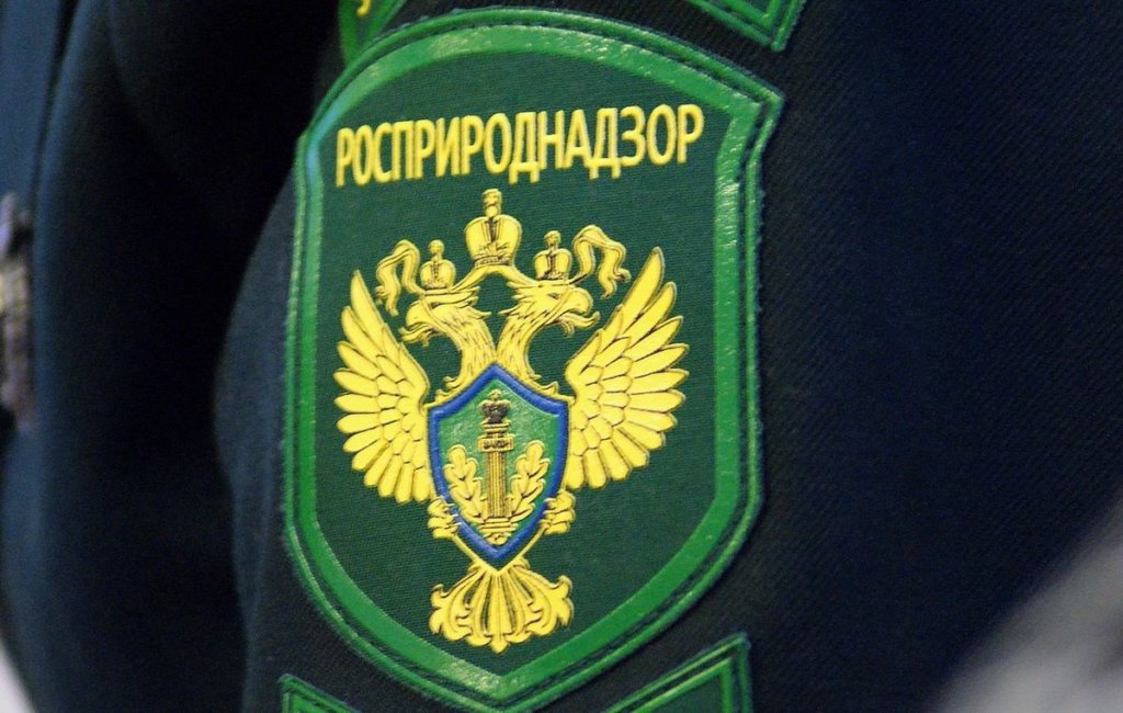 При Росприроднадзоре появился Молодёжный совет