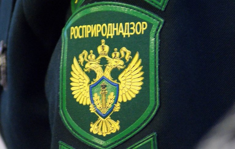 При Росприроднадзоре появился Молодёжный совет