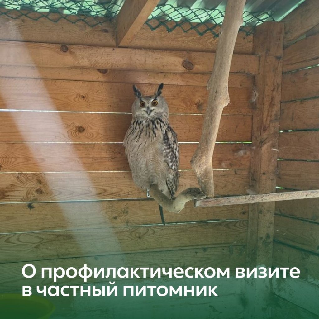 Росприроднадзор провёл инспекцию частного питомника в Республике Алтай