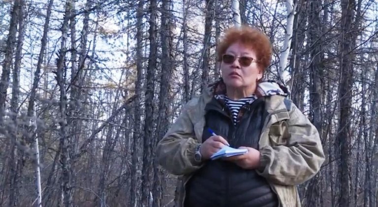 В Якутии завершаются исследования районов, где прошли лесные пожары