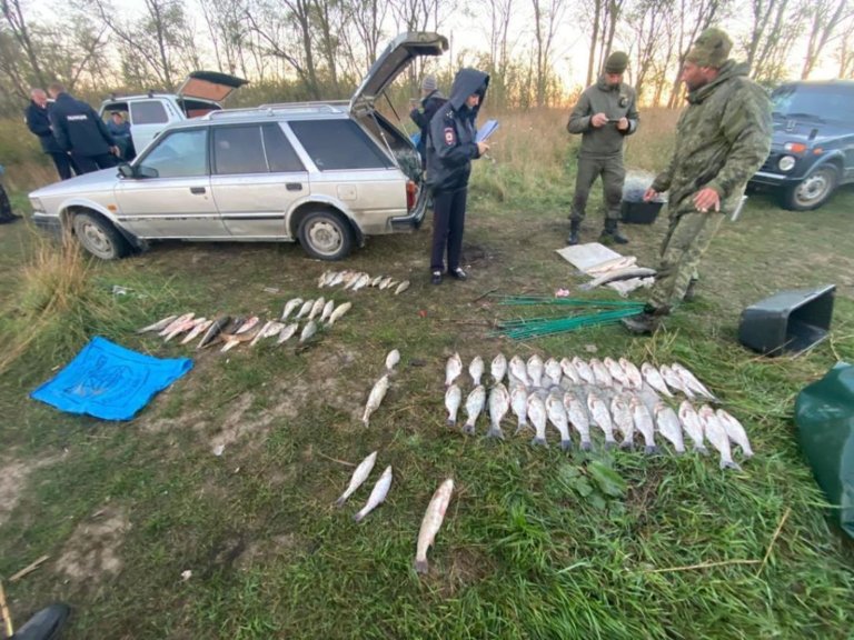 В Кавказском заповеднике задержали рыбаков-браконьеров