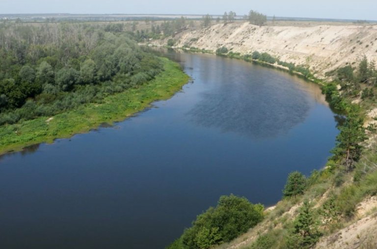 В Воронежской области обследуют пять рек