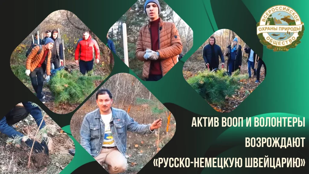 ВООП: Русско-Немецкая Швейцария, ролик – «Дак Это Лес», экотеатр и экоспорт