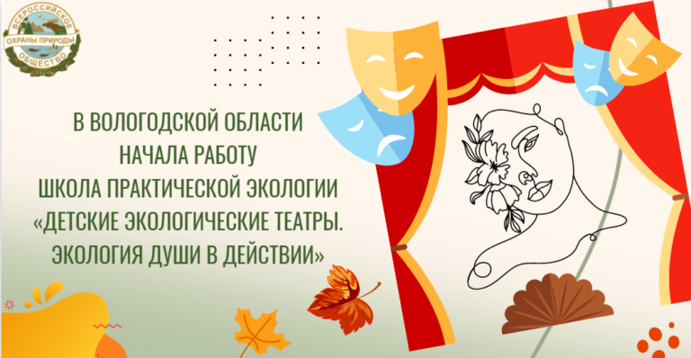 В Вологодской области учат создавать репертуары для детских экотеатров