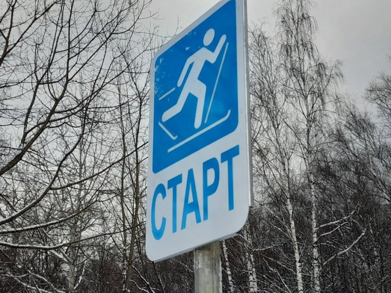В лесах разрешат строить лыжные трассы и велодорожки без ограничений