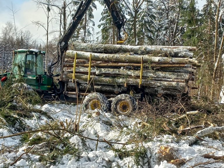 Новый порубочный билет: борьба за Троицкий лес продолжается