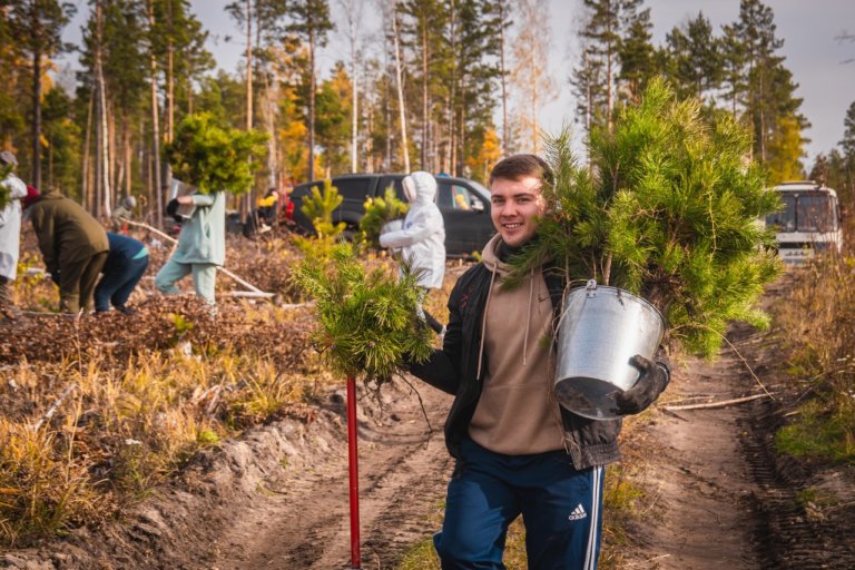 600 тыс деревьев высадили участники проекта «Посади лес» осенью 2022 года