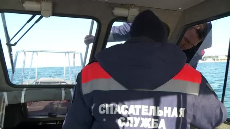 Севастопольским дельфинам станут помогать на постоянной основе