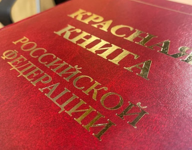 В России обновят Красную книгу