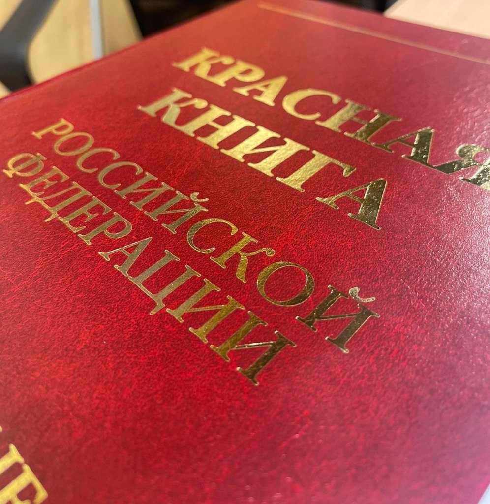 В России обновят Красную книгу