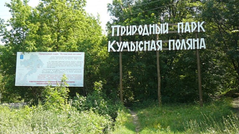 В саратовском природном парке обнаружили незаконную свалку