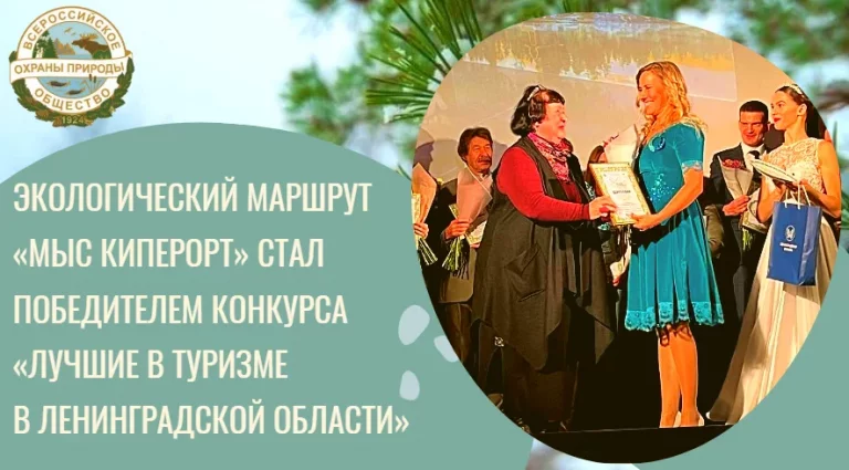 Экологический маршрут «Мыс Киперорт» победил в профессиональном конкурсе Ленинградской области