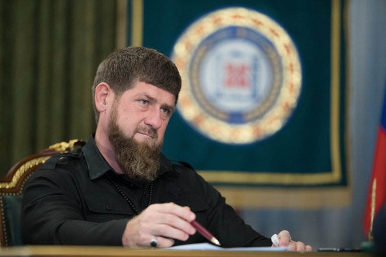 Кадыров: Давайте все заберем к себе с улицы собаку или кошку