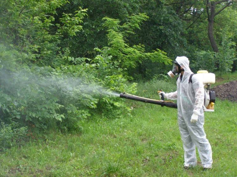 Минприроды России скорректировало законопроект об использовании пестицидов в природоохранных зонах