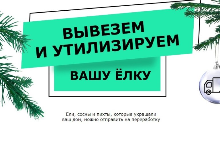 «Такси для елок» появилось в Москве и Подмосковье