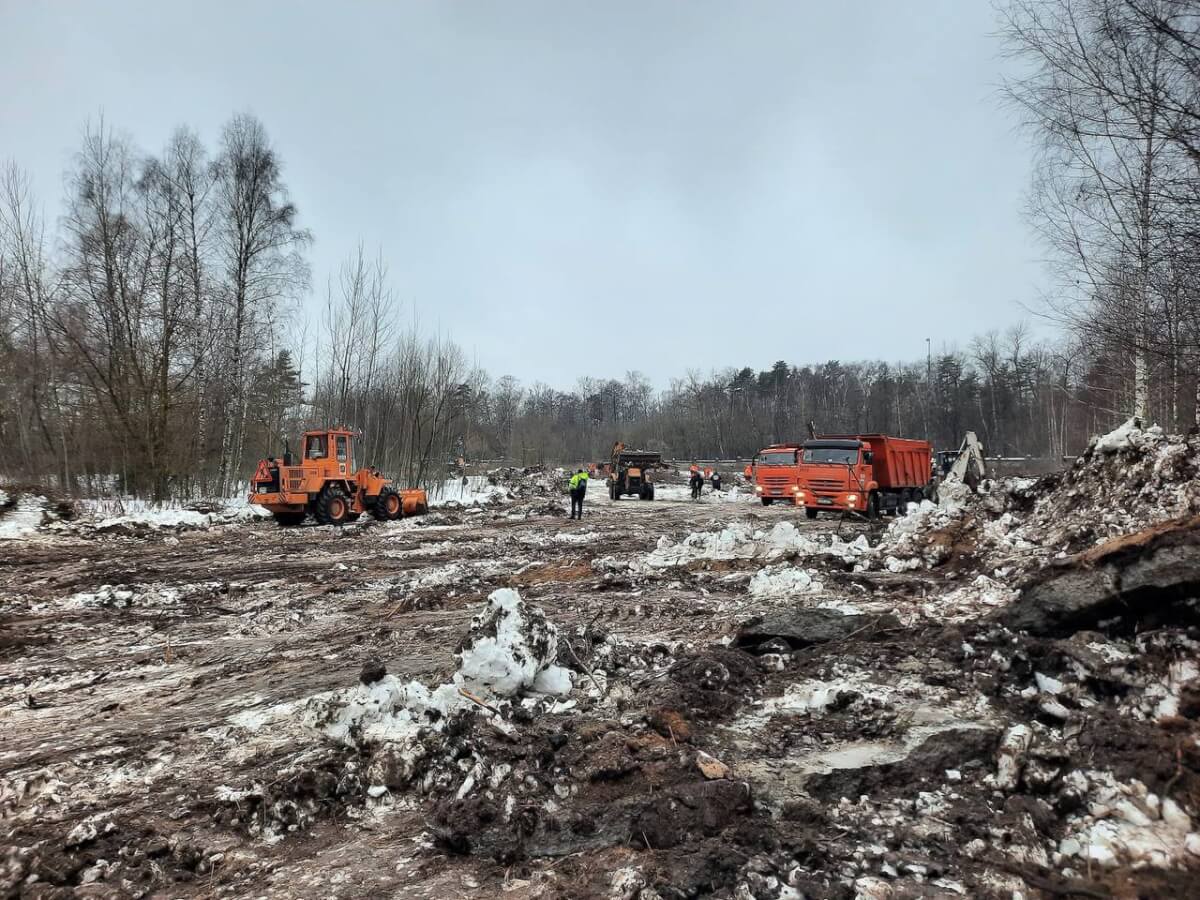 В Новогоднюю ночь в Лосином острове начали рубить деревья ⋆ НИА 