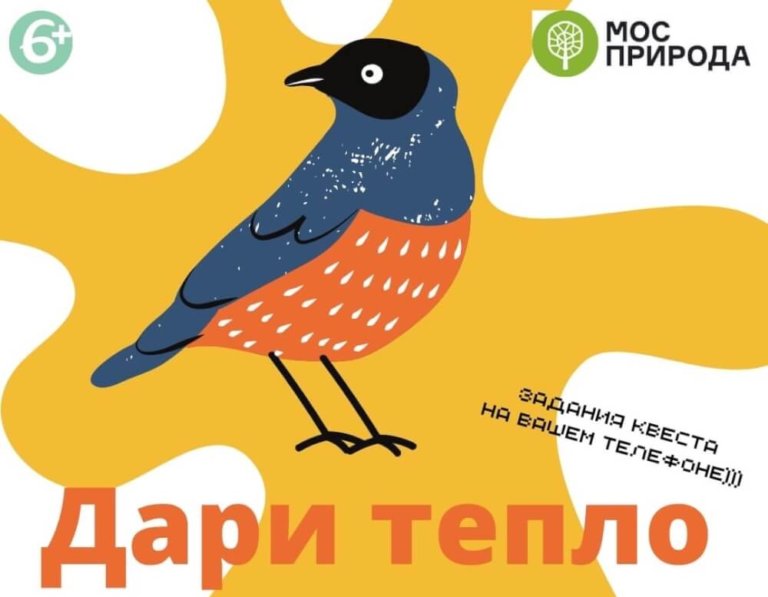 Найти и накормить